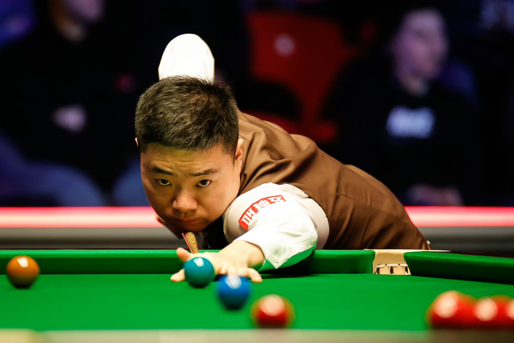 以及它们可 以及它们可