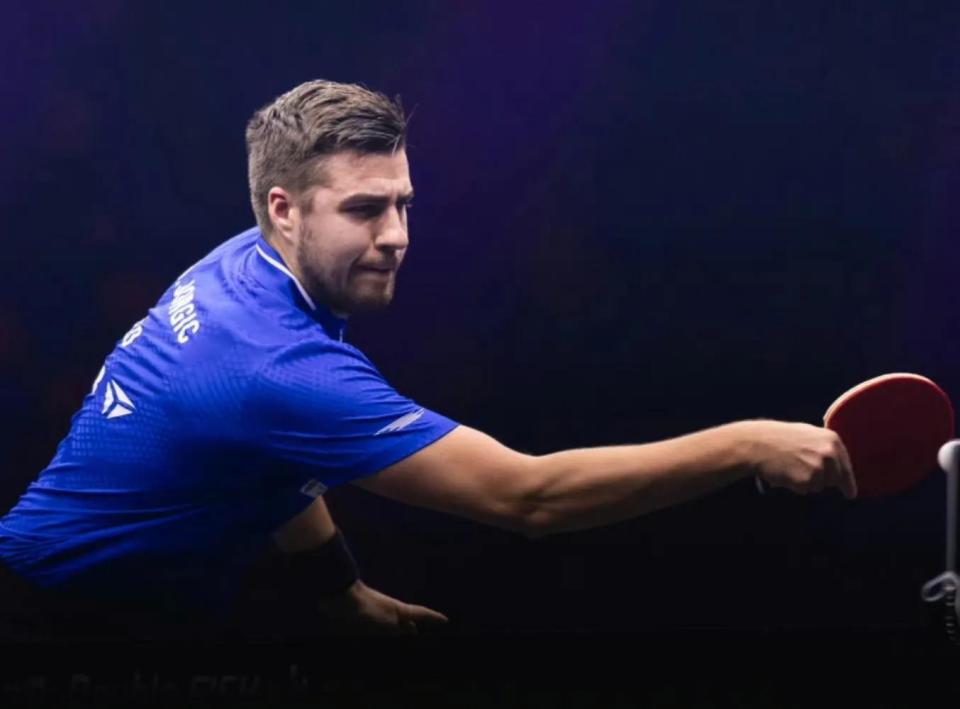 花和上海上 花和上海上