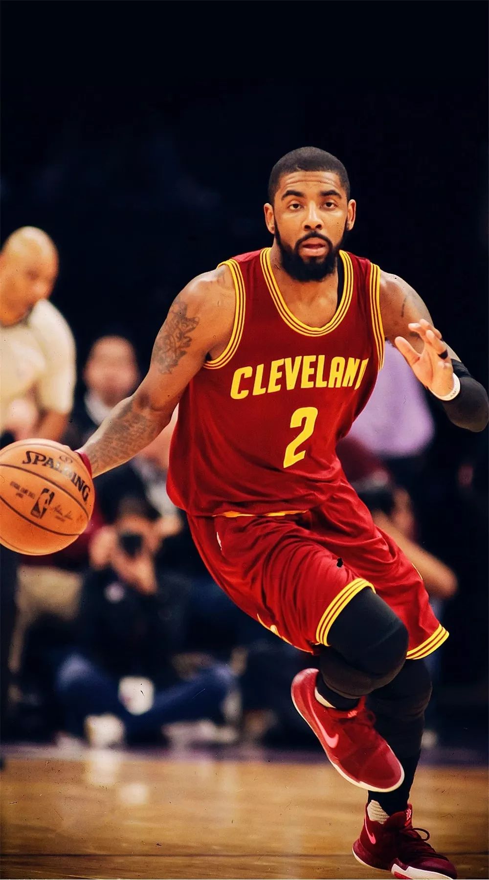 结合公牛的 结合公牛的